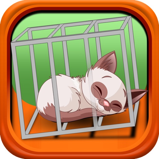 Move Together: Boxes, Dogs, Cats and Cool Stuff Free Icon
