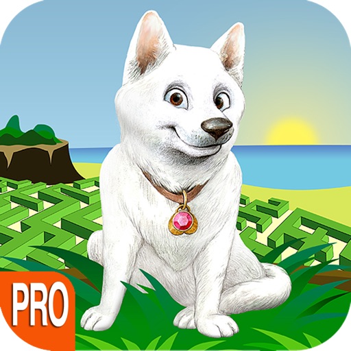 Cool Dog Pro - Best Super Fun 3D Cute Puppy Adventure Maze Race Game icon