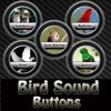 Bird Sound Buttons