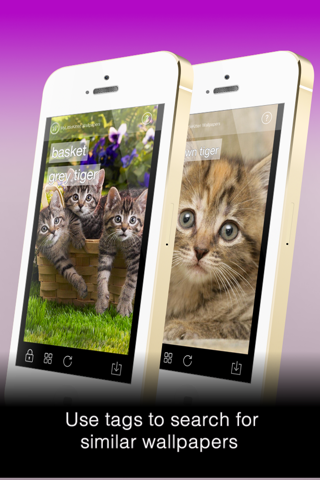 Wallfive HD Wallpapers - My Little Kittens screenshot 2