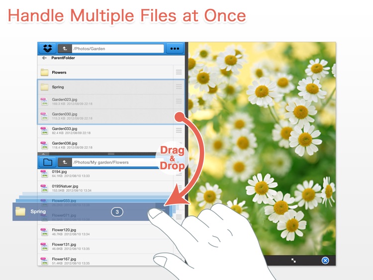 BoxCrane for iPad - FileCrane for Dropbox screenshot-4