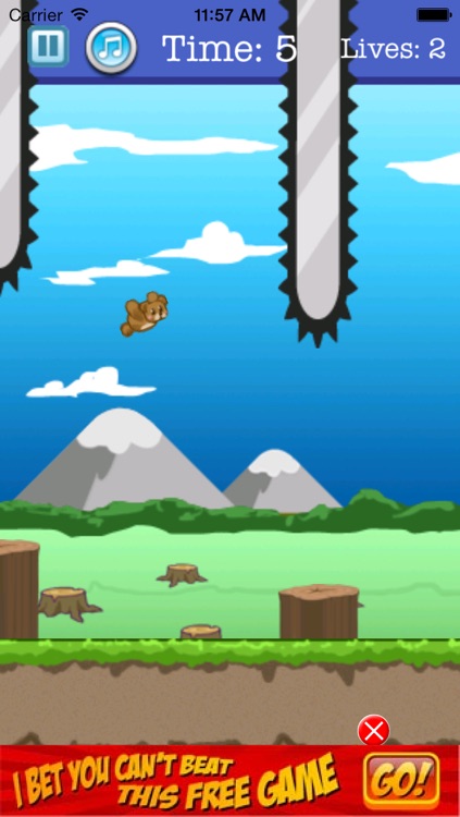 Floppy Bear thinks he’s a bird