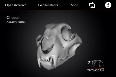 Artefacts screenshot 3