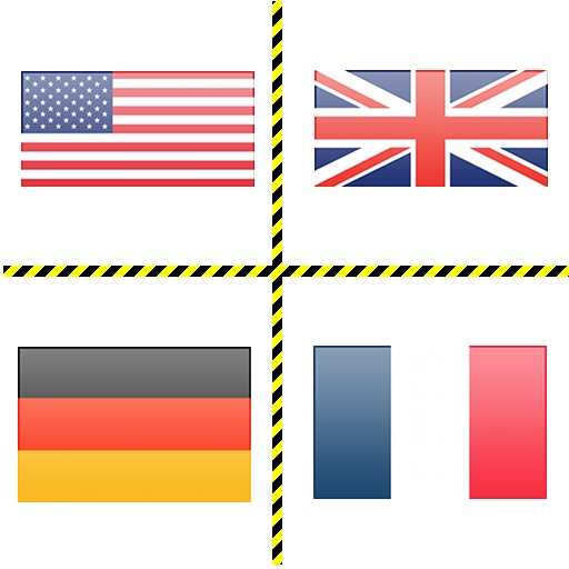 Flags Fun Game icon