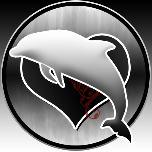dolphins memory icon