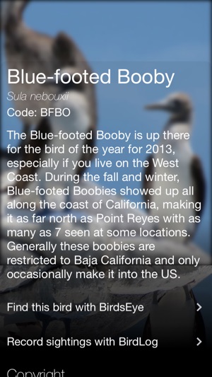 Daily Bird - the beautiful bird a day calendar app(圖5)-速報App