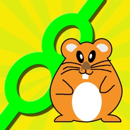 Active Hamster Running In Line - Stay On The Path Game