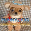 Funny Dog eCards.Funny Dog Greeting Cards.Funny Dog Wallpapers.Funny Dog Photos.
