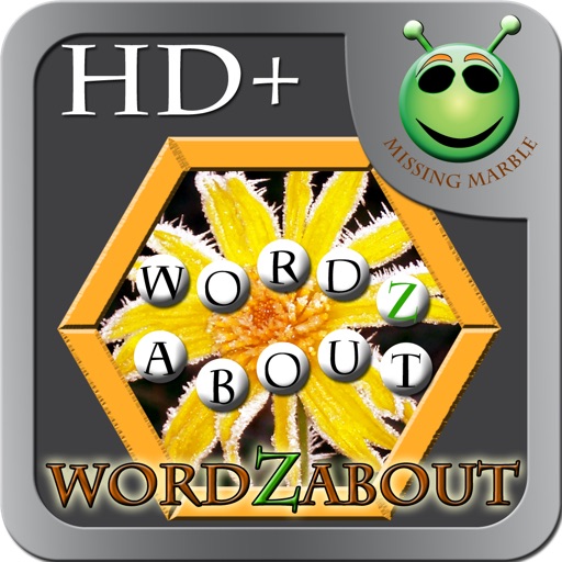 WordZAbout iOS App