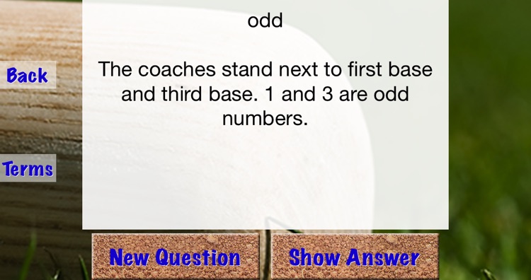 Free Fun Math at the Ballpark screenshot-4