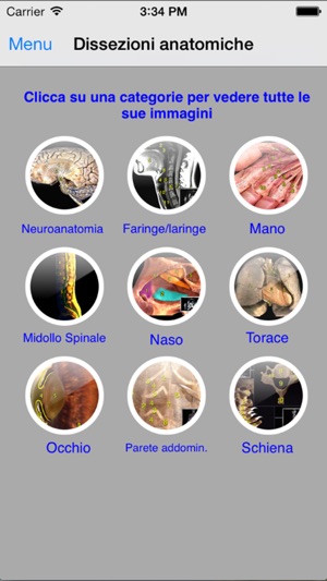 Enciclopedia dell'ANATOMIA - FREE(圖3)-速報App