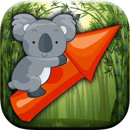 Bamboo Koala Baby – Free version iOS App