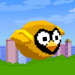 Brave Splashy Bird - a jumpy fish fly floppy game
