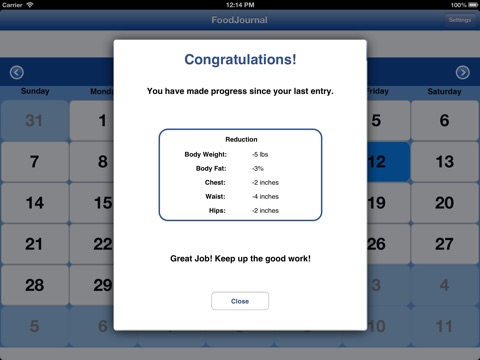 FoodJournal for iPad screenshot 4