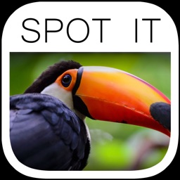 Spot the Difference Image Hunt Puzzle Game - Paradise Edition