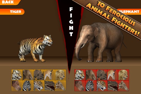 Safari Arena: Wildlife Arcade Fighter screenshot 4