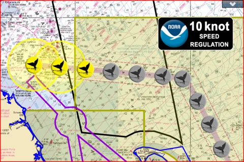 Whale Alert - Ship Strike Reduction for Right Whales screenshot 2
