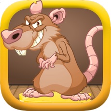 Activities of Trap The Mouse: Escape The Mayhem