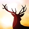 Deer Runner - Escape the Hunter Game