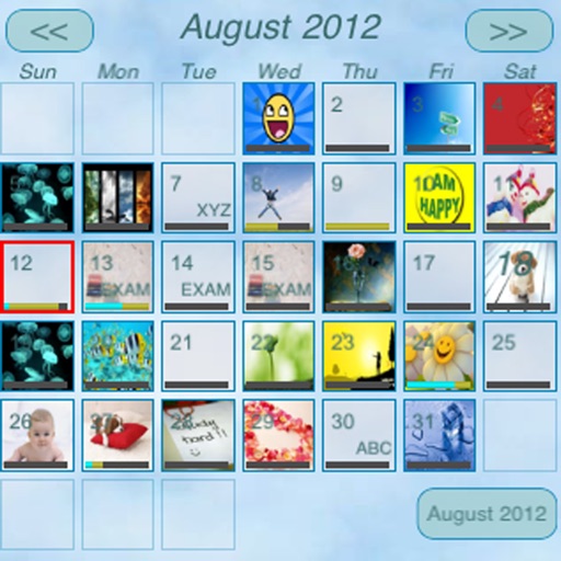 Task Calendar icon