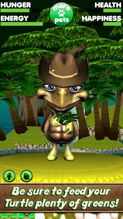 Virtual Pet Turtle screenshot-3