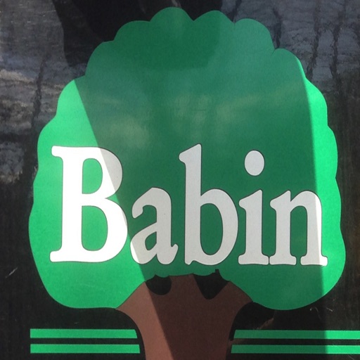 Babin Landscaping icon