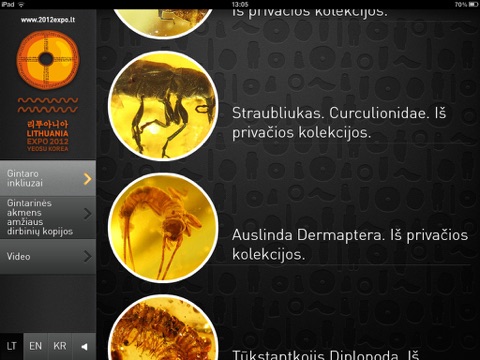 Lithuanian Ambers HD screenshot 2