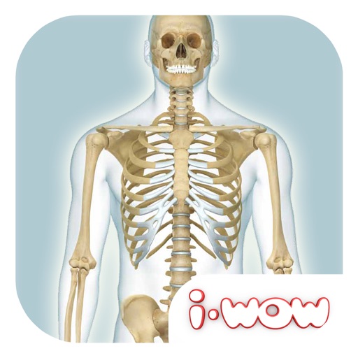 Atlas Human Body iOS App