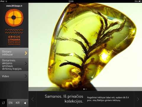 Lithuanian Ambers HD screenshot 3