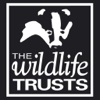 Yorkshire Wildlife Trusts