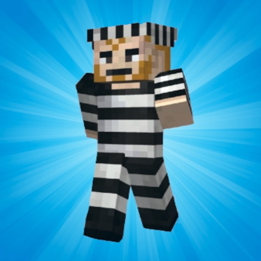 People Skins for Minecraft icon