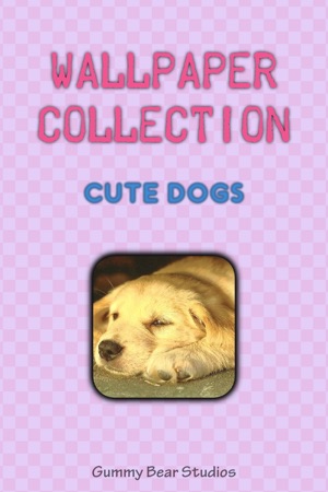 Wallpaper Collection: Cute Dogs(圖1)-速報App