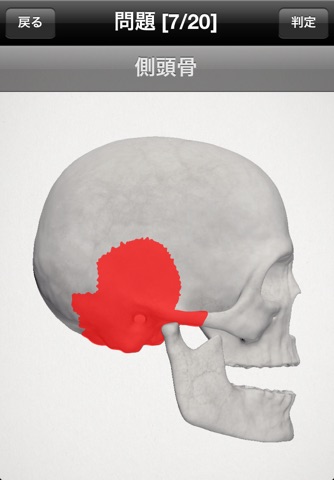 basic anatomy for all [bones] screenshot 2