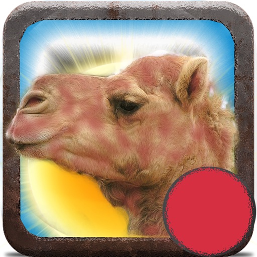 Red Camel icon