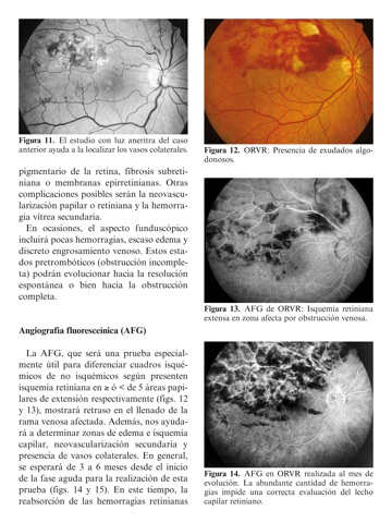 Ponencia 2010 screenshot 3