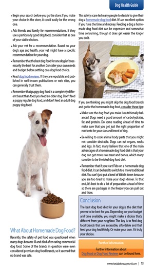 Sharda Bakers Dog World Magazine - Everything you need to kn(圖5)-速報App