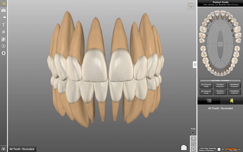 Perfect Tooth thumbnail 1