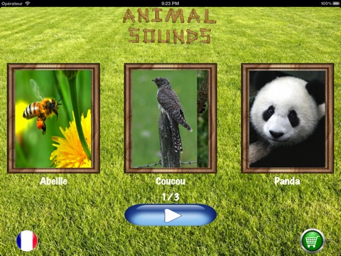 Animal Quiz HD for iPad screenshot 2