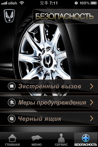 Сервисное обслуживание автомобиля «Хёндэ Экус»(«Сентениал») screenshot 4