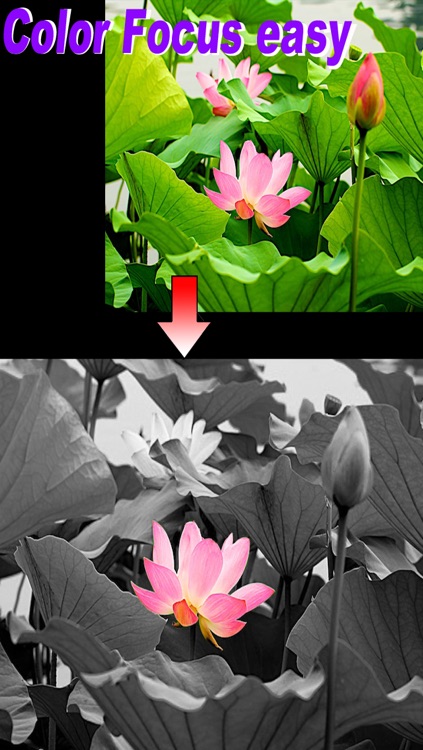 PicStyle-Crop and Splice images easy screenshot-3