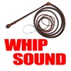 Big Bang Whip Sound & More