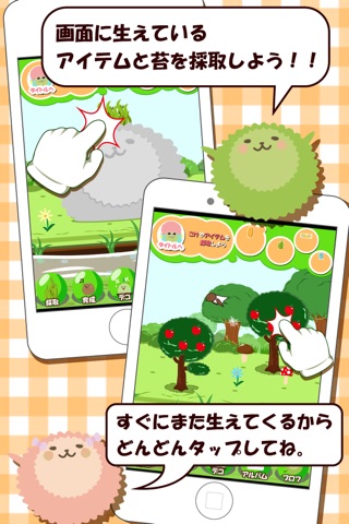 こけお〜苔を育成してデコるけどね〜 screenshot 2