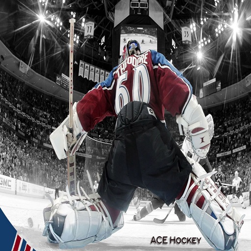 Ace Hockey icon