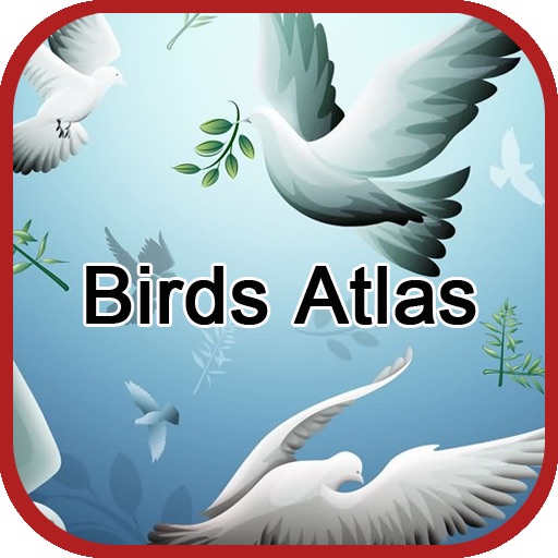 Birds Atlas icon