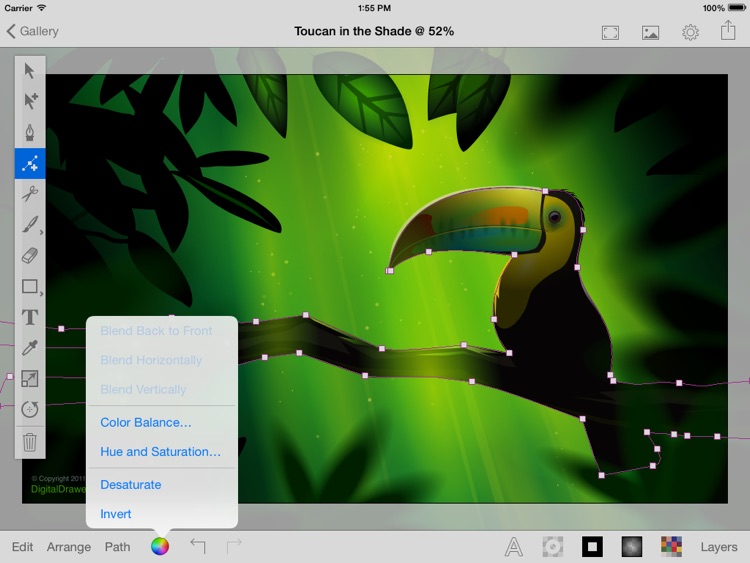 iDraw Pro: Vector illustrator for iPad