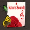 Relaxing Sound of Nature