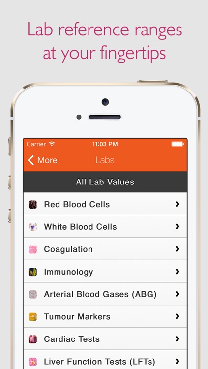 Instamedic 2 (OSCE, Examinations, Skills and Pathology) screenshot-3