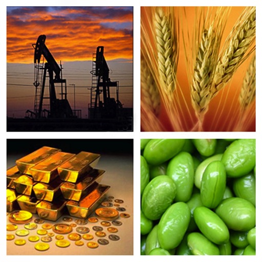 Commodity Prices icon