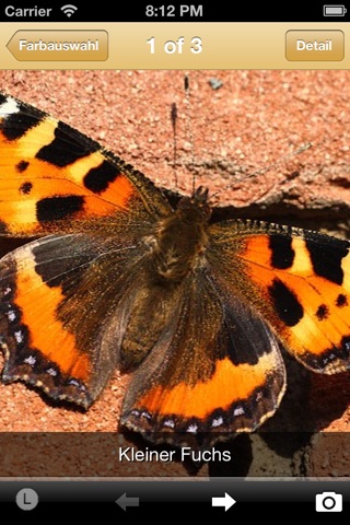 Butterflies screenshot 4