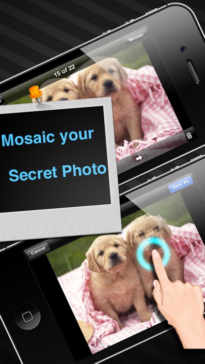 Photo Safe Pro with Mosaic
